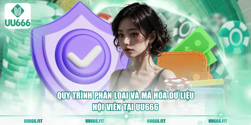 Quy trình phân loại và mã hóa dữ liệu hội viên tại UU666